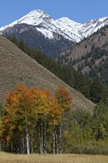 Images Dated 10th October 2011: The Pioneer Mountains near Sun Valley, Idaho, USA