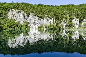 Images Dated 8th June 2010: The Plitvice Lakes in the National Park Plitvicka Jezera in Croatia