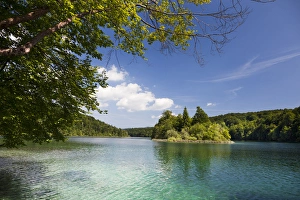 Images Dated 8th June 2010: The Plitvice Lakes in the National Park Plitvicka Jezera in Croatia. The lake Kozjak