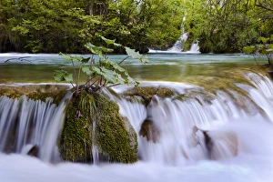 Images Dated 8th June 2010: The Plitvice Lakes in the National Park Plitvicka Jezera in Croatia. The lower lakes