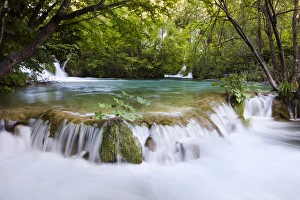 Images Dated 8th June 2010: The Plitvice Lakes in the National Park Plitvicka Jezera in Croatia. The lower lakes