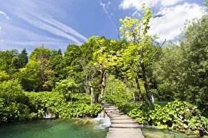 Images Dated 8th June 2010: The Plitvice Lakes in the National Park Plitvicka Jezera in Croatia. Typical plank path