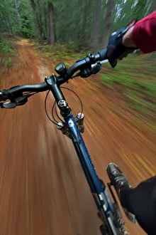 Point of view of singletrack riding at the Pig Farm Trails near Whitefish, Montana, USA Point of view of singletrack riding at the Pig Farm Trails near Whitefish, Montana, USA