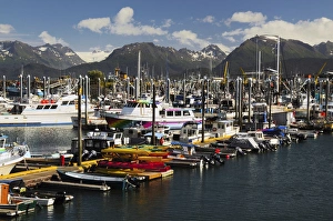 Port of Homer; Alaska; USA; with Kenai Mountains in the Background Port of Homer; Alaska; USA; with Kenai Mountains in the Background