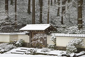 Portland Japanese Garden with a rare snow, Oregon Portland Japanese Garden with a rare snow, Oregon