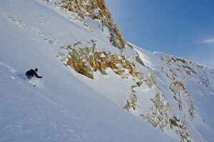Images Dated 23rd March 2011: Powder skiing in Mill B South Fork, Twin Peaks Wilderness, Big Cottonwood Canyon