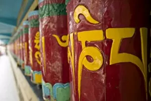 Images Dated 29th March 2005: Prayer wheels in Dharamsala, India