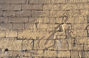 RAMSES II remained seated for a council with his officers, during the military campaign RAMSES II remained seated for a council with his officers, during the military campaign