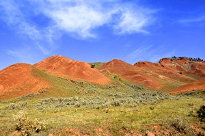 The Red Hills in the GRos Ventre Valley, Jackson Hole, Teton National Park, part The Red Hills in the GRos Ventre Valley, Jackson Hole, Teton National Park, part