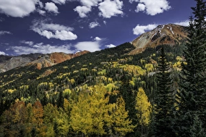 Red Mountain and autumn aspen trees, from Million Dollar Highway, near Ouray, Colorado Red Mountain and autumn aspen trees, from Million Dollar Highway, near Ouray, Colorado