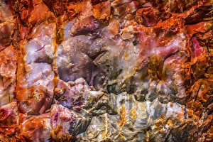 Red, orange and yellow petrified wood abstract, Blue Mesa, Petrified Forest National Park Red, orange and yellow petrified wood abstract, Blue Mesa, Petrified Forest National Park
