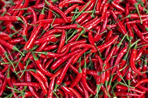 Red peppers for sale in market, Myanmar, (Burma) Red peppers for sale in market, Myanmar, (Burma)