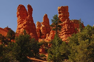 Images Dated 28th April 2012: Red Rock, Red Canyon, Utah, USA