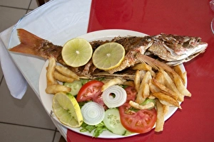 Red snapper fish dinner at a restaurant in the Manuel Antonio National Park in Puntarenas Red snapper fish dinner at a restaurant in the Manuel Antonio National Park in Puntarenas