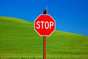 Images Dated 24th July 2011: Red Stop Sign Green Wheat Grass Fields Blue Skies Abstract Palouse Washington State