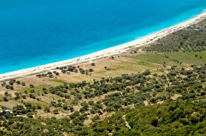 Republic of Albania. Olive grove next to Borsh beach Republic of Albania. Olive grove next to Borsh beach
