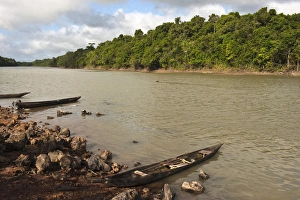 Rewa Village Rewa River Rainforest GUYANA. South America Rewa Village Rewa River Rainforest GUYANA. South America