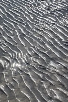 Ripples in the sand, Beach at Honeymoon Island State Park, Dunedin, Florida, USA Ripples in the sand, Beach at Honeymoon Island State Park, Dunedin, Florida, USA