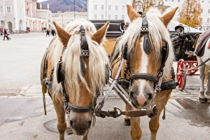 RM. Cityscape. Horse carriage. Salzburg. Austria RM. Cityscape. Horse carriage. Salzburg. Austria