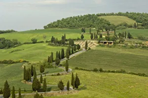 Road from Pienza to Montepulciano, Monticchiello, Val d'Orcia, Siena province Road from Pienza to Montepulciano, Monticchiello, Val d'Orcia, Siena province