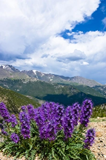 Rocky Mountain National Park is a destination for vacationers from all over the world Rocky Mountain National Park is a destination for vacationers from all over the world