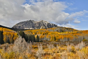 Rocky Mountains Colorado Fall Colors of Aspens, Keebler Pass, with mountain looming above Rocky Mountains Colorado Fall Colors of Aspens, Keebler Pass, with mountain looming above
