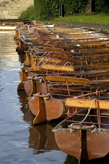 Row boats moored on the River Avon at Stratford-upon-Avon, Warwickshire, England Row boats moored on the River Avon at Stratford-upon-Avon, Warwickshire, England