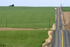 Rural country road with green unripe wheat fields near Pendleton, Idaho Rural country road with green unripe wheat fields near Pendleton, Idaho