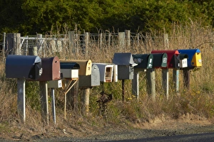 Rural Letterboxes, Otakou, Otago Peninsula, Dunedin, South Island, New Zealand Rural Letterboxes, Otakou, Otago Peninsula, Dunedin, South Island, New Zealand