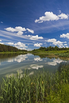 Russia, Pskovskaya Oblast, Pushkinskie Gory, lake at Mikhailovskoye, the Alexander Pushkin Preserve Russia, Pskovskaya Oblast, Pushkinskie Gory, lake at Mikhailovskoye, the Alexander Pushkin Preserve