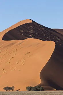 An s-curve on a tall orange-sand dune in Sossusvlei within Namib-Naukluft National Park An s-curve on a tall orange-sand dune in Sossusvlei within Namib-Naukluft National Park