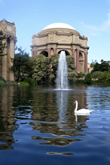 San Francisco, California, United States. Palace of Fine Arts San Francisco, California, United States. Palace of Fine Arts