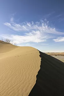 Sand dune ridge. Bruneau Dunes State Park, ID