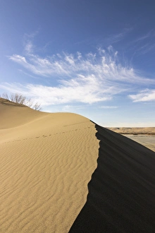 Sand dune ridge. Bruneau Dunes State Park, ID Sand dune ridge. Bruneau Dunes State Park, ID