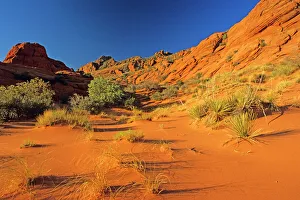 Images Dated 1st September 2006: Sand at Paria Wilderness in Utah