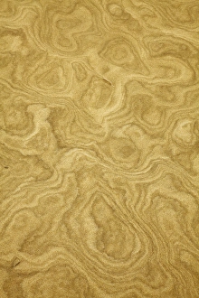 Sand patterns on the Te Paki Sand Dunes in the Far North, Northland, New Zealand Sand patterns on the Te Paki Sand Dunes in the Far North, Northland, New Zealand