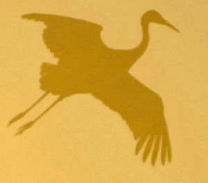 Sandhill crane silhouette at sunset over Bosque del Apache National Wildlife Refuge, N Sandhill crane silhouette at sunset over Bosque del Apache National Wildlife Refuge, N