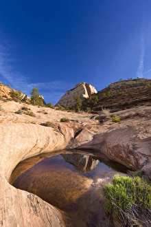 Sandstone monument reflects in pool of water in Zion National Park, Utah, USA Sandstone monument reflects in pool of water in Zion National Park, Utah, USA