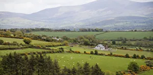 A scenic landscape of the Dingle Penninsula in Western Ireland with an old farm house A scenic landscape of the Dingle Penninsula in Western Ireland with an old farm house