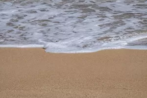 Sea foam on Golden sandy beach