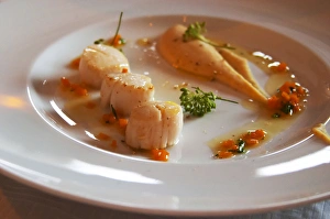 Sear fried scallops and parsnip on a white plate. The gastronomic restaurant Tva Broder Sear fried scallops and parsnip on a white plate. The gastronomic restaurant Tva Broder
