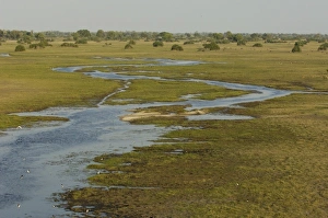 Seasonal flood moving through the floodplain. Okavango Delta, BOTSWANA. Southern Africa Seasonal flood moving through the floodplain. Okavango Delta, BOTSWANA. Southern Africa
