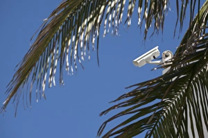Security camera on rooftop with palm fronds in foreground Security camera on rooftop with palm fronds in foreground