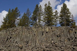 Sheepeater Cliff basalt columns. Yellowstone National Park. Wyoming. USA Sheepeater Cliff basalt columns. Yellowstone National Park. Wyoming. USA