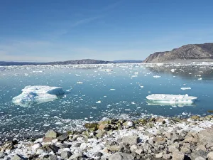 Shoreline littered with icebergs from Eqip Glacier in Greenland, Danish Territory Shoreline littered with icebergs from Eqip Glacier in Greenland, Danish Territory