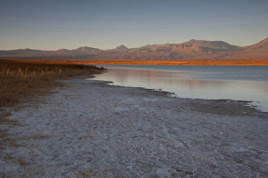 A short drive from San Pedro de Atacama is the Cejar Salt Lake with the Cordillerta A short drive from San Pedro de Atacama is the Cejar Salt Lake with the Cordillerta