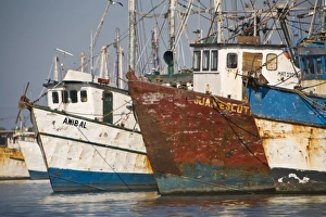 Shrimp Boats, largest fleet in Mazatlan, Sinaloa State, Mexico Shrimp Boats, largest fleet in Mazatlan, Sinaloa State, Mexico