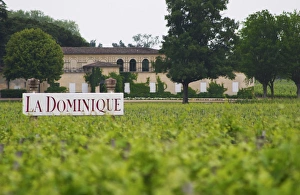 A sign in the vineyard saying Chateau La Dominique, and a unknown winery in the background A sign in the vineyard saying Chateau La Dominique, and a unknown winery in the background