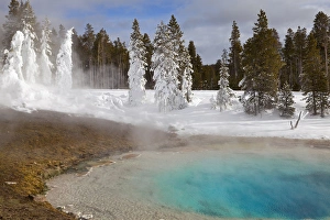 Silex Spring in the Lower Geyser Basin in Yellowstone National Park, Wyoming, USA Silex Spring in the Lower Geyser Basin in Yellowstone National Park, Wyoming, USA