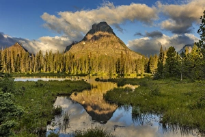 Sinopah Mountain reflects in beaver pond in Two Medicine Valley in Glacier National Park Sinopah Mountain reflects in beaver pond in Two Medicine Valley in Glacier National Park